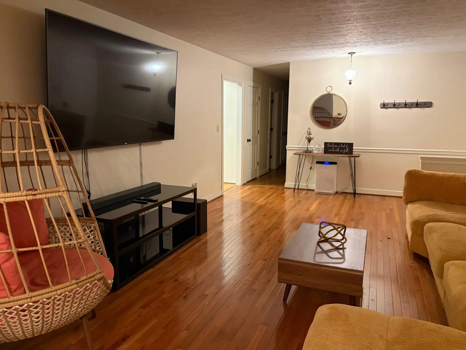 Living room with large TV and hanging chair